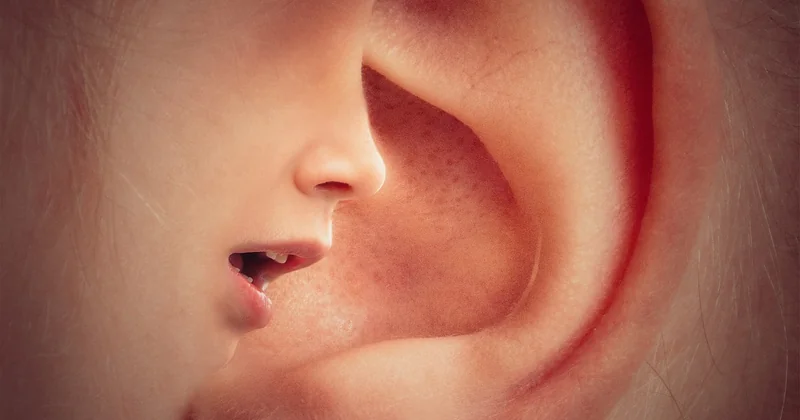 Bouche-à-oreille oral et avis en ligne : le même combat